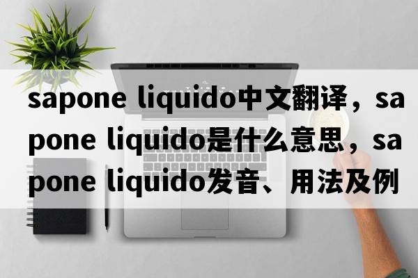 sapone liquido中文翻譯，sapone liquido是什么意思，sapone liquido發(fā)音、用法及例句