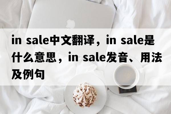 in sale中文翻譯，in sale是什么意思，in sale發(fā)音、用法及例句