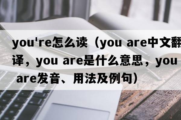 you're怎么讀（you are中文翻譯，you are是什么意思，you are發(fā)音、用法及例句）
