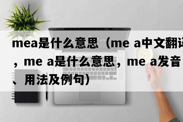 mea是什么意思（me a中文翻譯，me a是什么意思，me a發(fā)音、用法及例句）