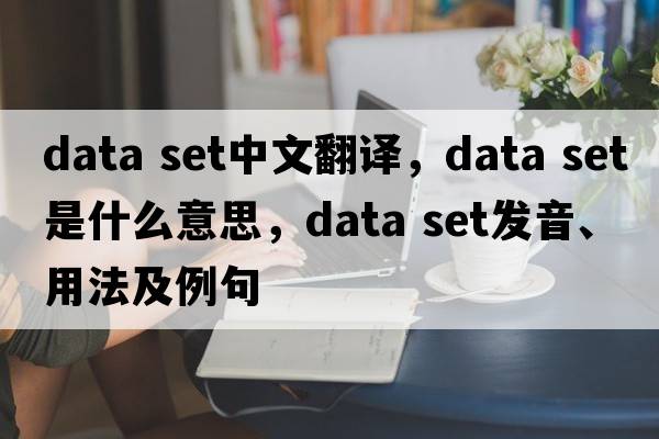 data set中文翻譯，data set是什么意思，data set發(fā)音、用法及例句