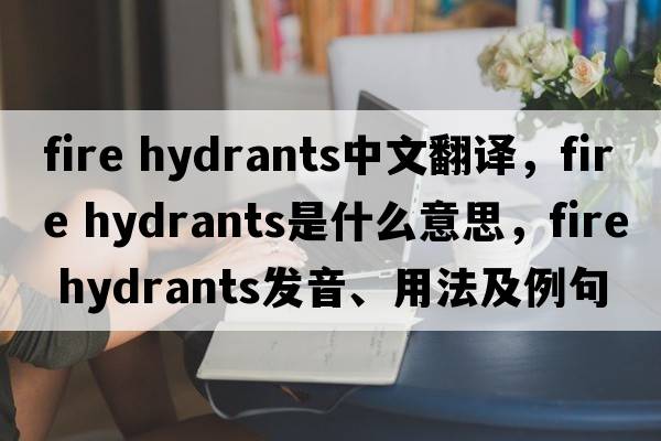 fire hydrants中文翻譯，fire hydrants是什么意思，fire hydrants發(fā)音、用法及例句