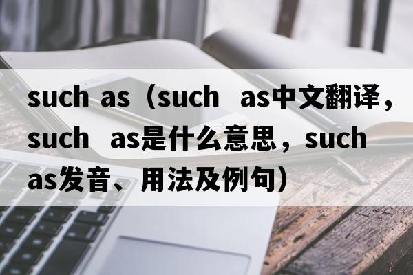 such as（such  as中文翻譯，such  as是什么意思，such  as發(fā)音、用法及例句）
