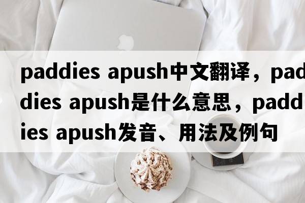 paddies apush中文翻譯，paddies apush是什么意思，paddies apush發(fā)音、用法及例句