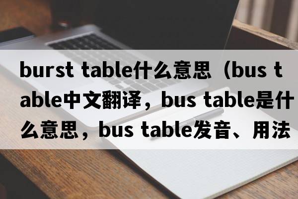 burst table什么意思（bus table中文翻譯，bus table是什么意思，bus table發(fā)音、用法及例句）