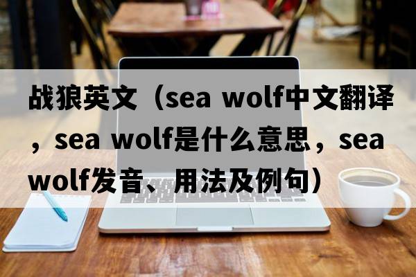 戰狼英文（sea wolf中文翻譯，sea wolf是什么意思，sea wolf發(fā)音、用法及例句）