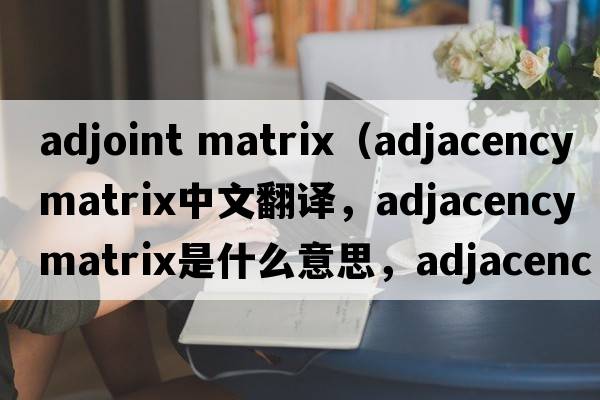 adjoint matrix（adjacency matrix中文翻譯，adjacency matrix是什么意思，adjacency matrix發(fā)音、用法及例句）