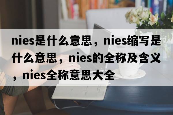 nies是什么意思，nies縮寫(xiě)是什么意思，nies的全稱(chēng)及含義，nies全稱(chēng)意思大全