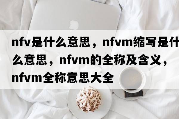 nfv是什么意思，nfvm縮寫(xiě)是什么意思，nfvm的全稱(chēng)及含義，nfvm全稱(chēng)意思大全