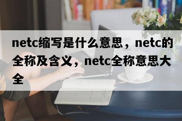 netc縮寫(xiě)是什么意思，netc的全稱(chēng)及含義，netc全稱(chēng)意思大全