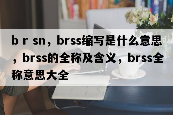 b r sn，brss縮寫(xiě)是什么意思，brss的全稱(chēng)及含義，brss全稱(chēng)意思大全