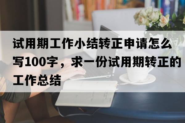 試用期工作小結轉正申請怎么寫(xiě)100字，求一份試用期轉正的工作總結