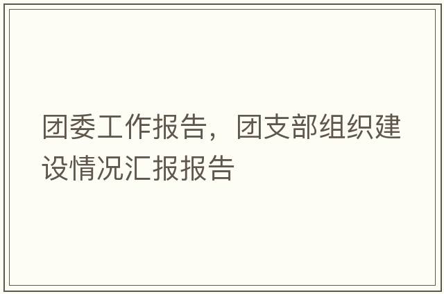 團委工作報告，團支部組織建設情況匯報報告