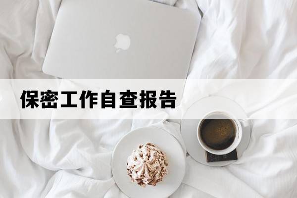 保密工作自查報告