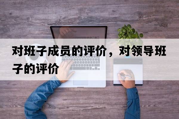 對班子成員的評價(jià)，對領(lǐng)導班子的評價(jià)