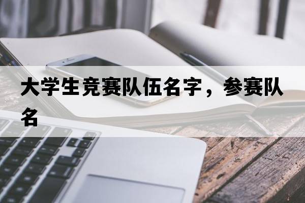 大學(xué)生競賽隊伍名字，參賽隊名