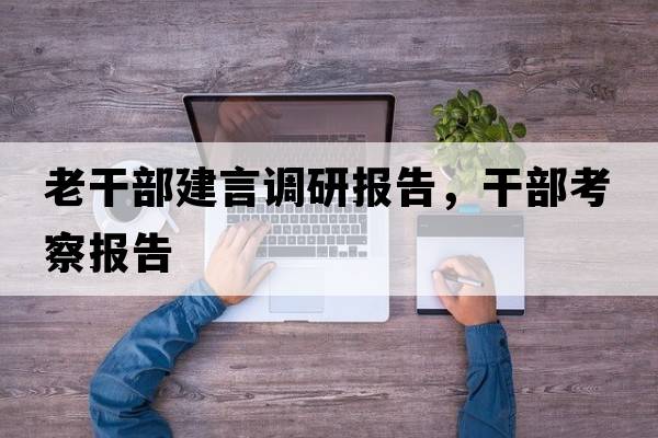 老干部建言調研報告，干部考察報告