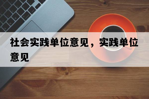 社會(huì )實(shí)踐單位意見(jiàn)，實(shí)踐單位意見(jiàn)