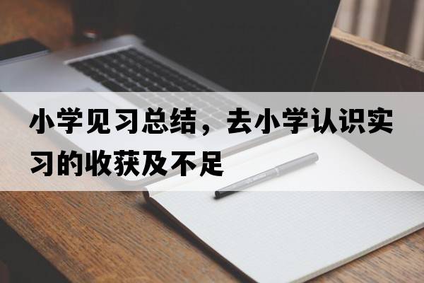 小學(xué)見(jiàn)習總結，去小學(xué)認識實(shí)習的收獲及不足