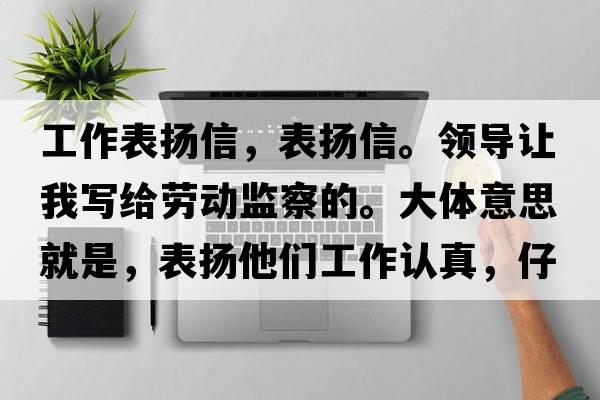 工作表?yè)P信，表?yè)P信。領(lǐng)導讓我寫(xiě)給勞動(dòng)監察的。大體意思就是，表?yè)P他們工作認真，仔細。政府領(lǐng)導好