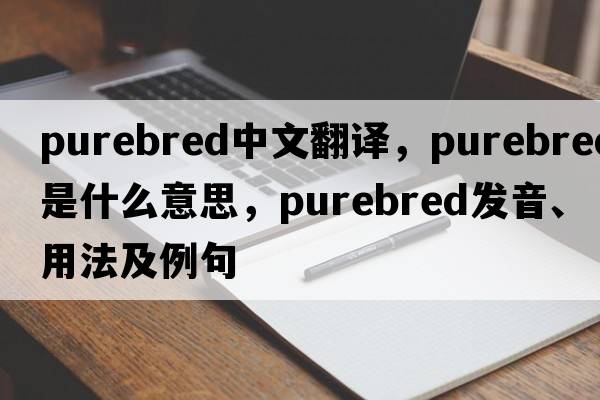 purebred中文翻譯，purebred是什么意思，purebred發(fā)音、用法及例句