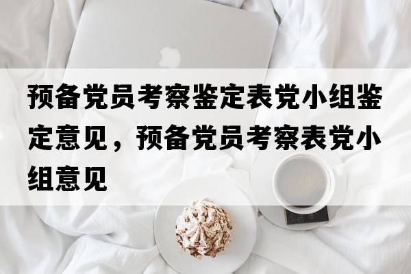 預備黨員考察鑒定表黨小組鑒定意見(jiàn)，預備黨員考察表黨小組意見(jiàn)