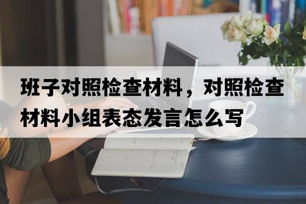 班子對照檢查材料，對照檢查材料小組表態(tài)發(fā)言怎么寫(xiě)