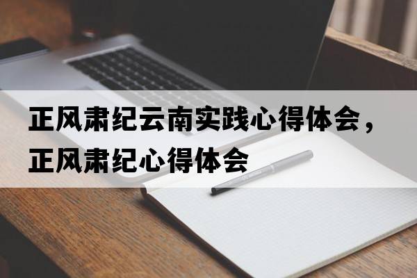 正風(fēng)肅紀云南實(shí)踐心得體會(huì )，正風(fēng)肅紀心得體會(huì )