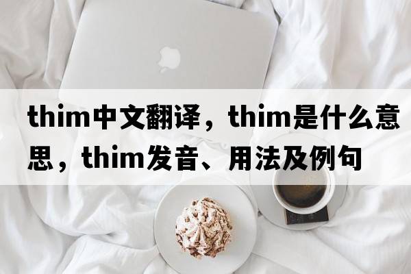 THIM中文翻譯，THIM是什么意思，THIM發(fā)音、用法及例句