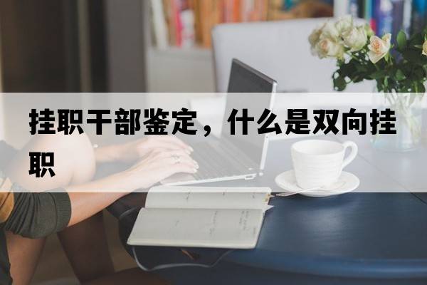 掛職干部鑒定，什么是雙向掛職