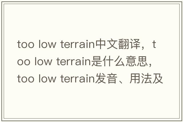 too low terrain中文翻譯，too low terrain是什么意思，too low terrain發(fā)音、用法及例句