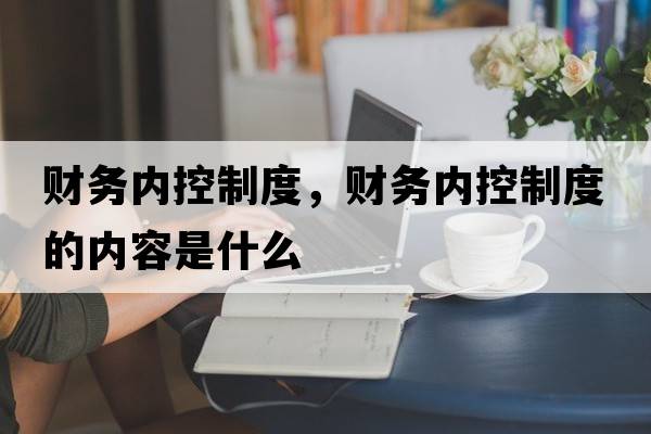 財務(wù)內控制度，財務(wù)內控制度的內容是什么