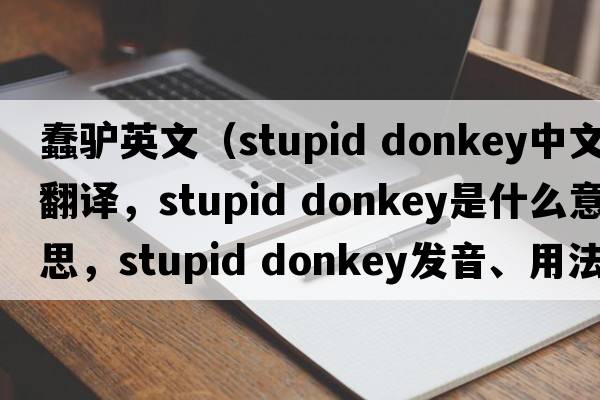 蠢驢英文（stupid donkey中文翻譯，stupid donkey是什么意思，stupid donkey發(fā)音、用法及例句）