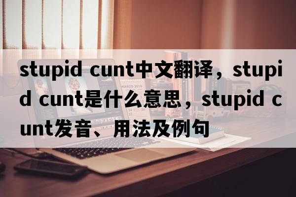 stupid cunt中文翻譯，stupid cunt是什么意思，stupid cunt發(fā)音、用法及例句