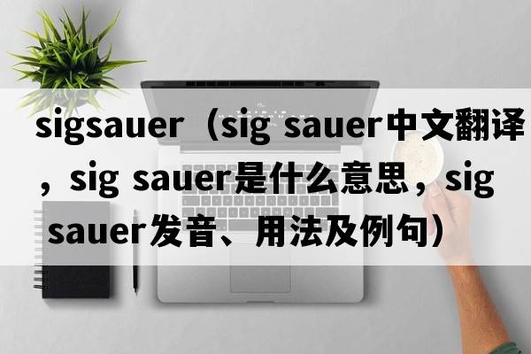 sigsauer（sig sauer中文翻譯，sig sauer是什么意思，sig sauer發(fā)音、用法及例句）