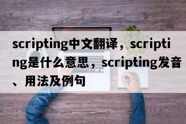 scripting中文翻譯，scripting是什么意思，scripting發(fā)音、用法及例句