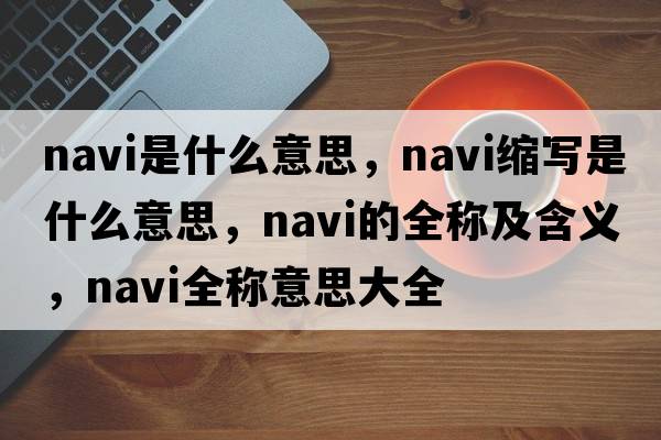 navi是什么意思，navi縮寫(xiě)是什么意思，navi的全稱(chēng)及含義，navi全稱(chēng)意思大全