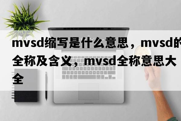 mvsd縮寫(xiě)是什么意思，mvsd的全稱(chēng)及含義，mvsd全稱(chēng)意思大全