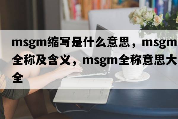 msgm縮寫(xiě)是什么意思，msgm的全稱(chēng)及含義，msgm全稱(chēng)意思大全