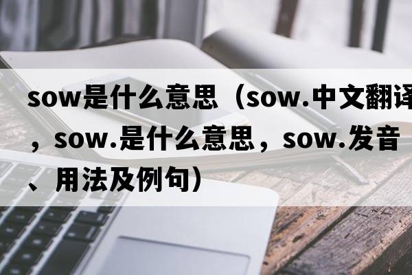 sow是什么意思（sow.中文翻譯，sow.是什么意思，sow.發(fā)音、用法及例句）