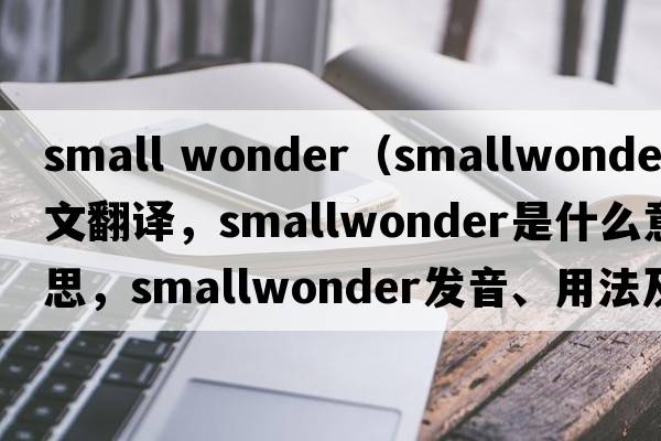 small wonder（smallwonder中文翻譯，smallwonder是什么意思，smallwonder發(fā)音、用法及例句）
