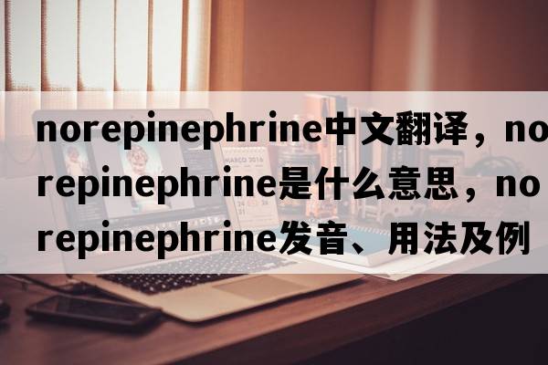 norepinephrine中文翻譯，norepinephrine是什么意思，norepinephrine發(fā)音、用法及例句