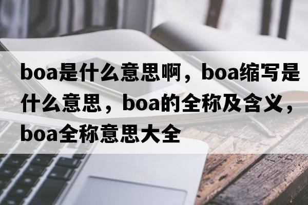 boa是什么意思啊，boa縮寫(xiě)是什么意思，boa的全稱(chēng)及含義，boa全稱(chēng)意思大全
