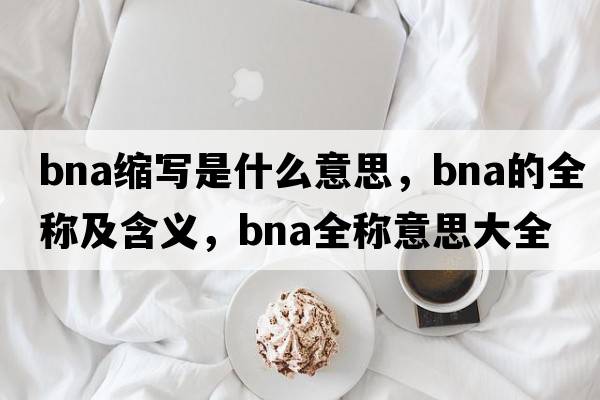 bna縮寫(xiě)是什么意思，bna的全稱(chēng)及含義，bna全稱(chēng)意思大全