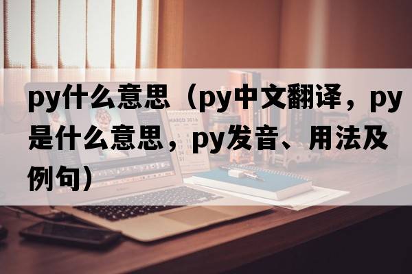 py什么意思（py中文翻譯，py是什么意思，py發(fā)音、用法及例句）