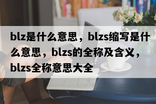 blz是什么意思，blzs縮寫(xiě)是什么意思，blzs的全稱(chēng)及含義，blzs全稱(chēng)意思大全