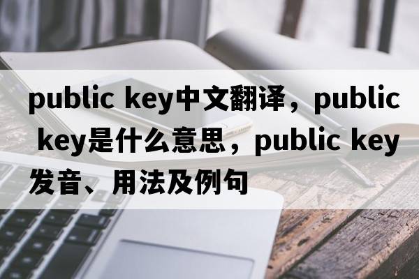 public key中文翻譯，public key是什么意思，public key發(fā)音、用法及例句