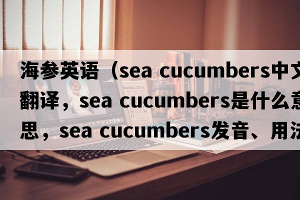 海參英語(yǔ)（sea cucumbers中文翻譯，sea cucumbers是什么意思，sea cucumbers發(fā)音、用法及例句）