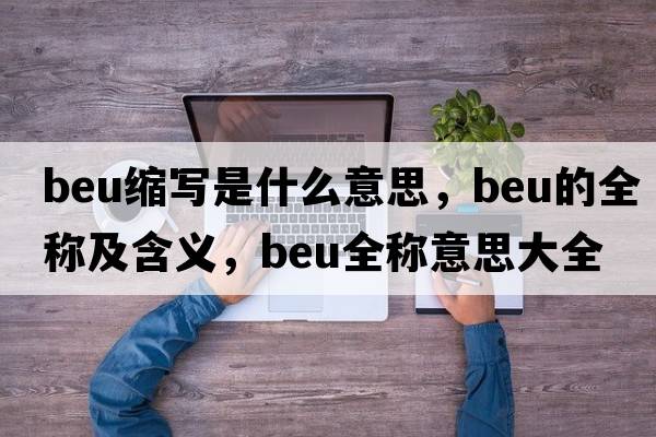beu縮寫(xiě)是什么意思，beu的全稱(chēng)及含義，beu全稱(chēng)意思大全