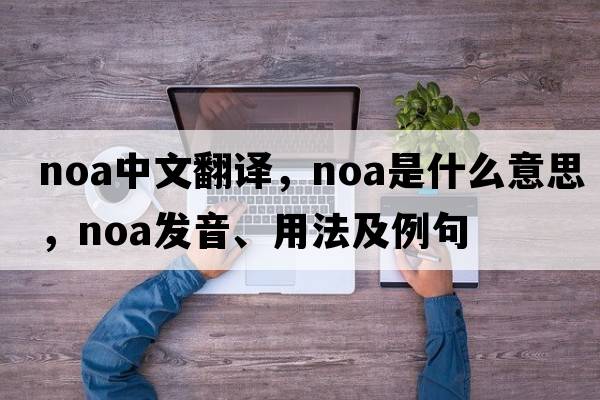 noa中文翻譯，noa是什么意思，noa發(fā)音、用法及例句